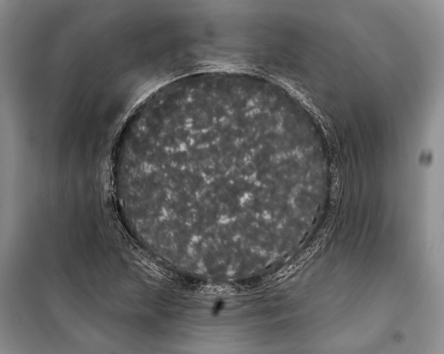 X0000100201215200806131222