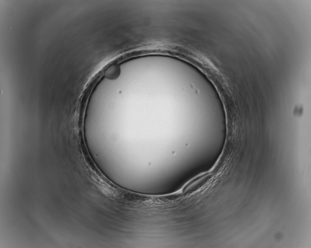 X0000100201216200806131222