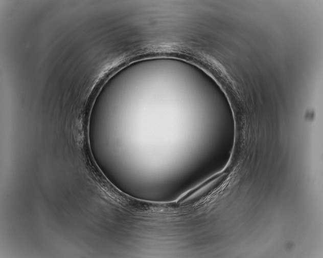 X0000100201218200806131222