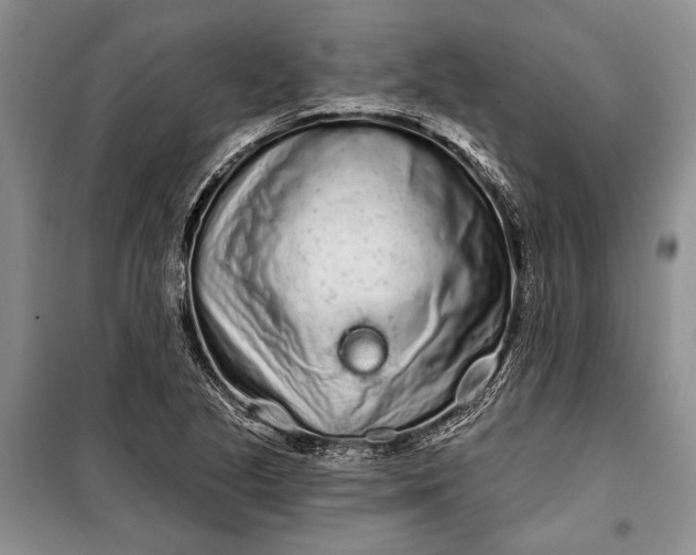 X0000100201221200806131222