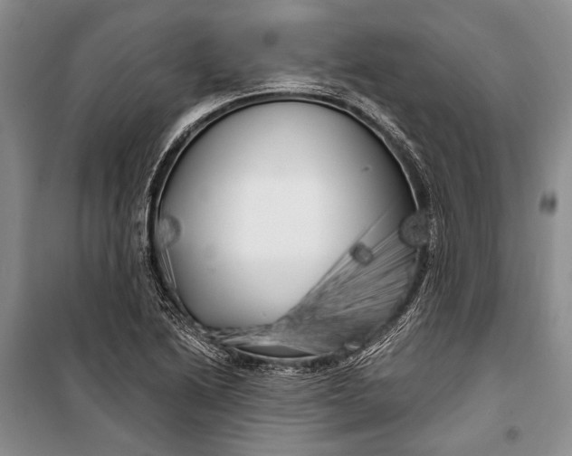 X0000100201222200806131222