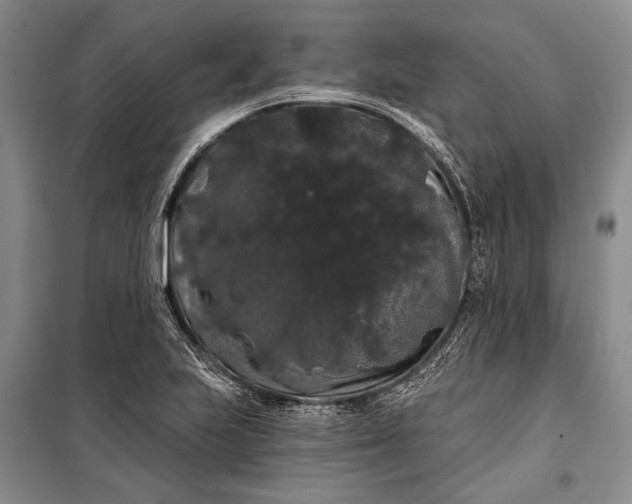 X0000100201223200806131222