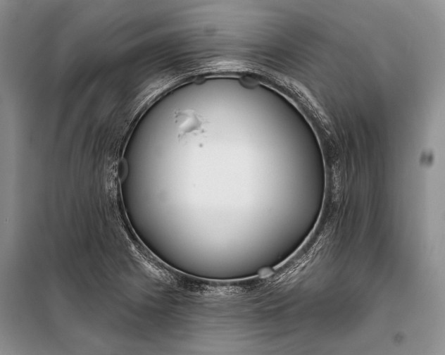 X0000100201225200806131222