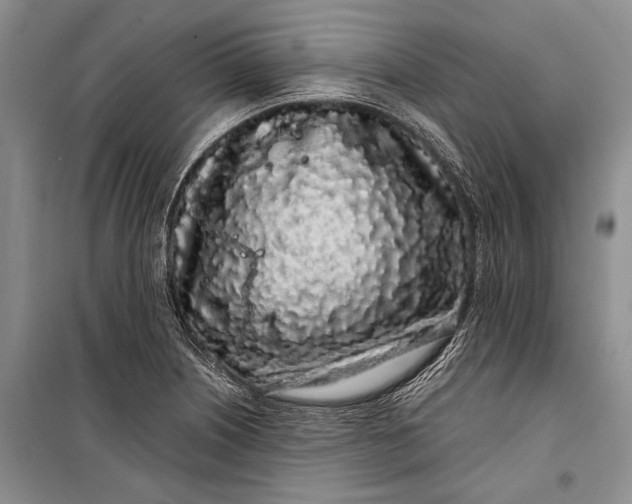 X0000100201226200806131222