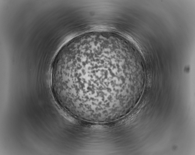 X0000100201227200806131222