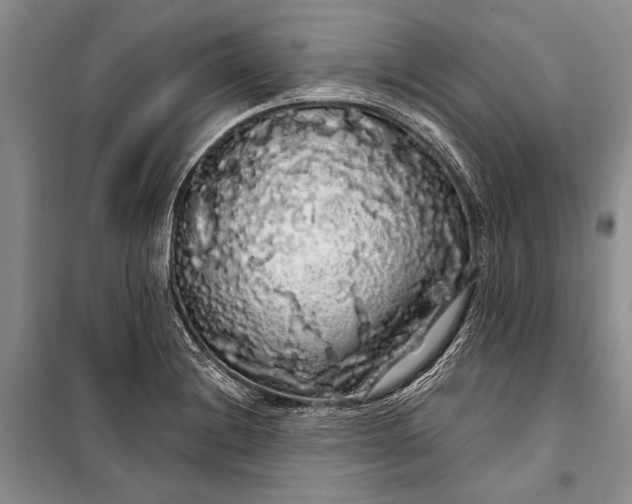 X0000100201228200806131222