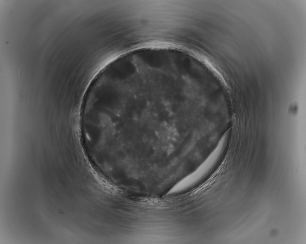 X0000100201229200806131222