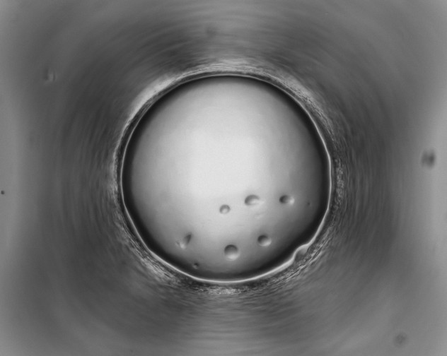 X0000100201230200806131222