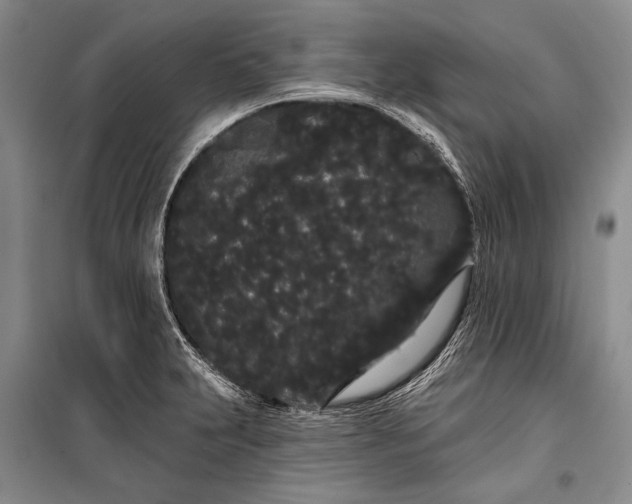 X0000100201231200806131222