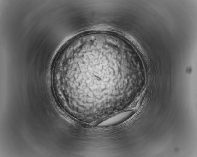 X0000100201232200806131222