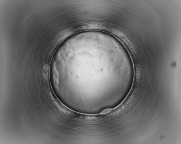 X0000100201233200806131222