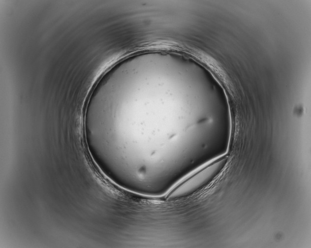 X0000100201234200806131222