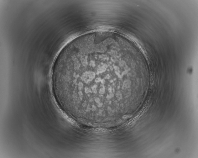 X0000100201235200806131222