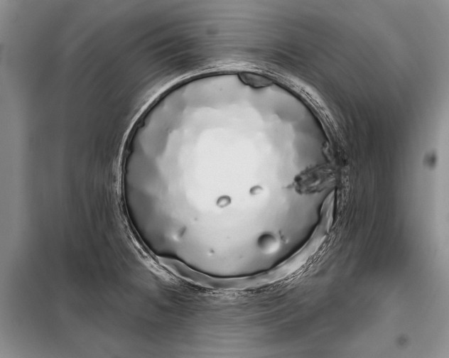 X0000100201236200806131222