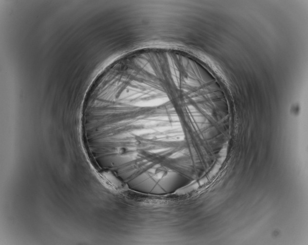 X0000100201237200806131222