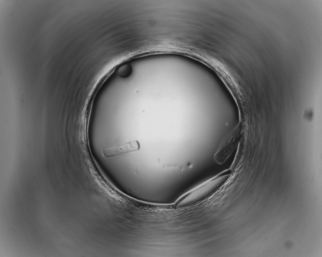 X0000100201238200806131222