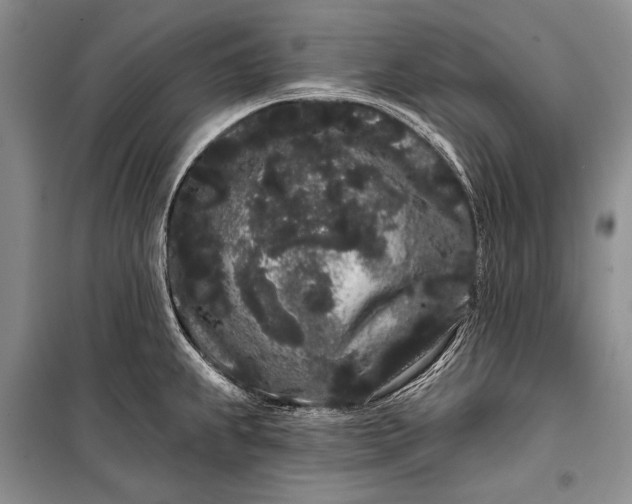 X0000100201239200806131222