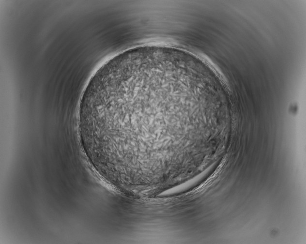 X0000100201240200806131222