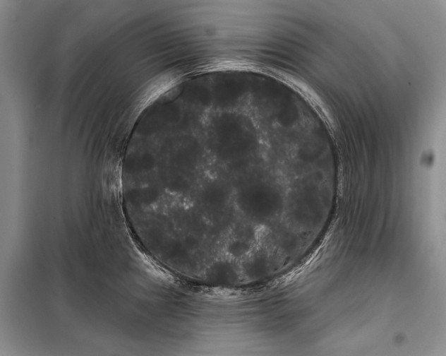 X0000100201241200806131222