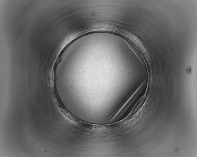 X0000100201242200806131222