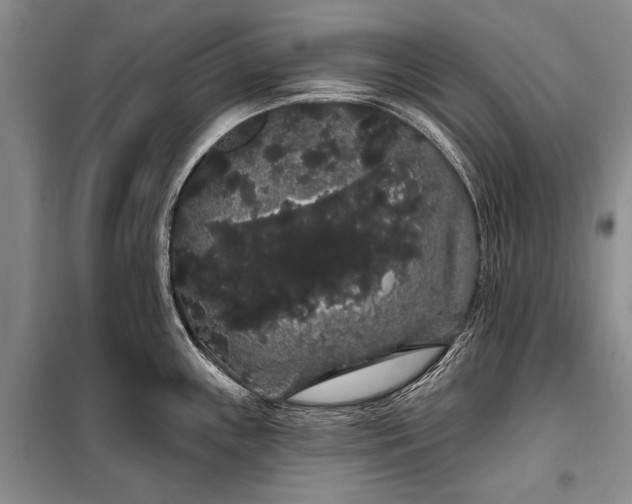 X0000100201243200806131222