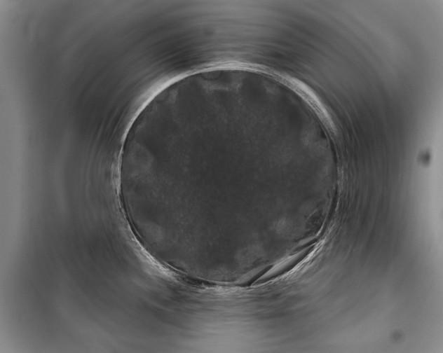 X0000100201244200806131222