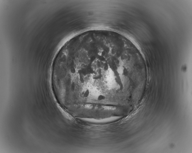 X0000100201245200806131222