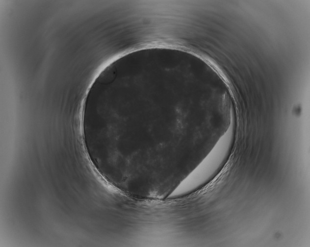 X0000100201246200806131222