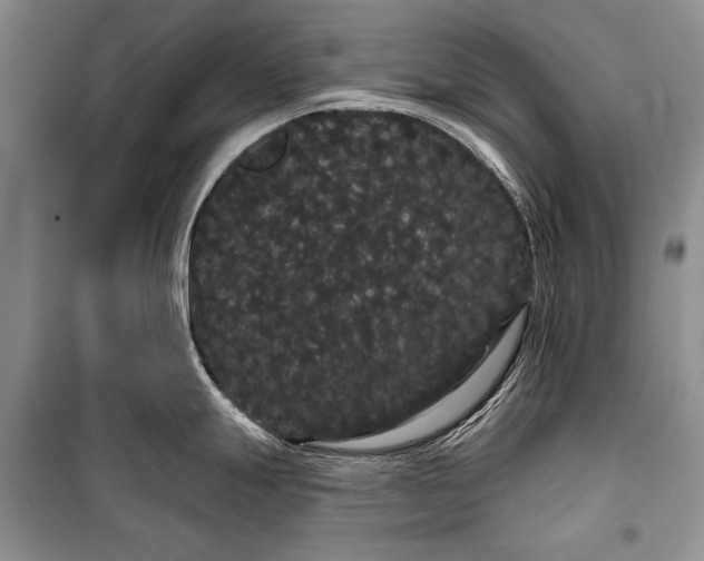 X0000100201247200806131222