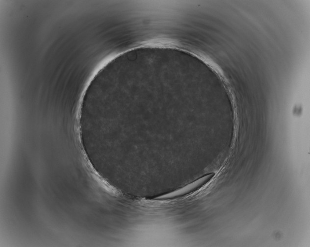 X0000100201248200806131222