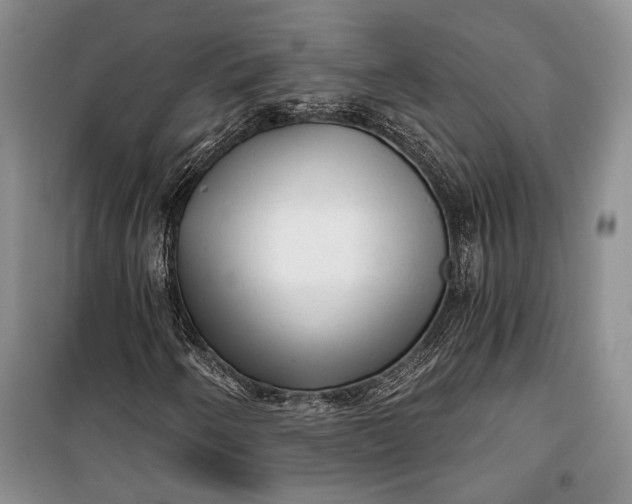 X0000100201250200806131222