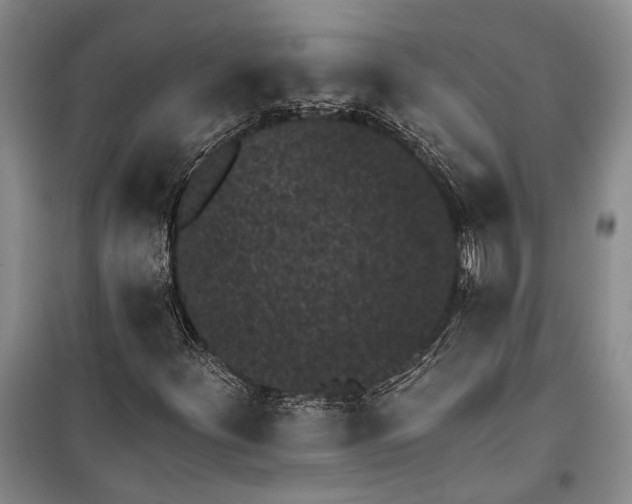 X0000100201252200806131222