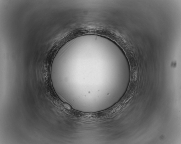 X0000100201253200806131222