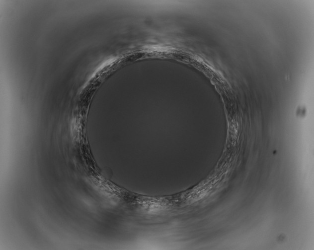 X0000100201254200806131222