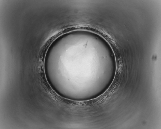 X0000100201255200806131222