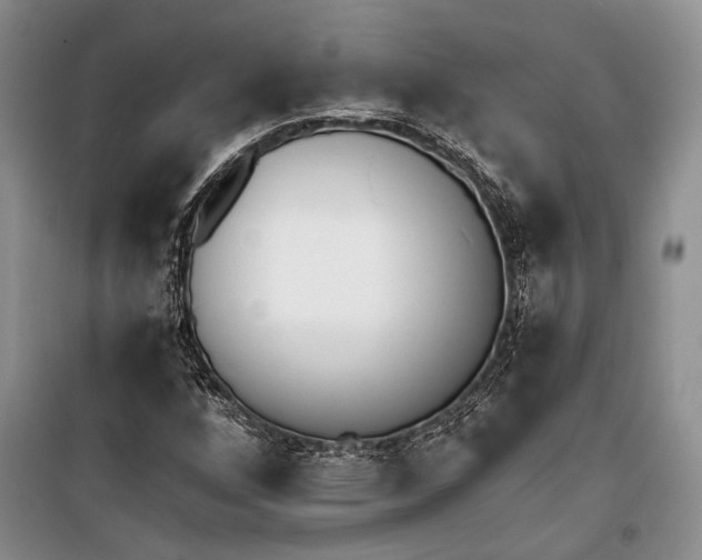 X0000100201256200806131222