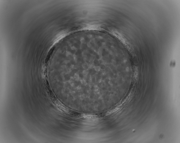 X0000100201258200806131222