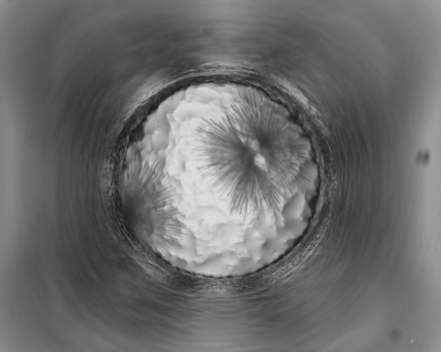 X0000100201259200806131222