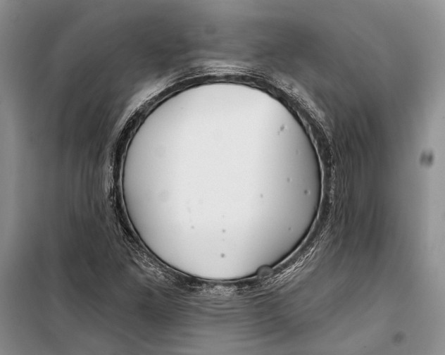 X0000100201261200806131221