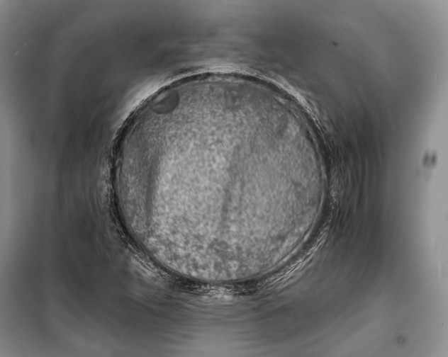 X0000100201263200806131221