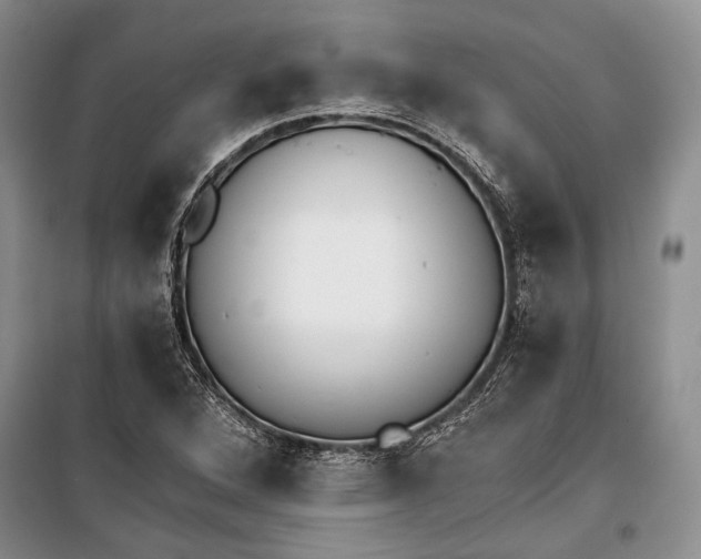 X0000100201264200806131221