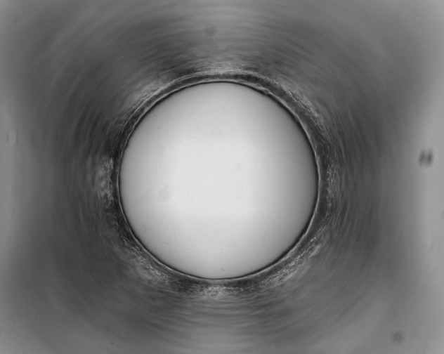 X0000100201265200806131221