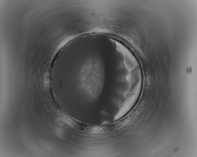 X0000100201266200806131221