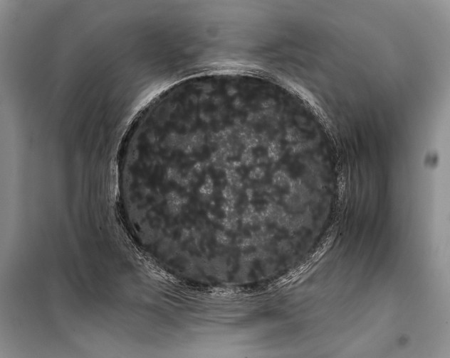 X0000100201267200806131221