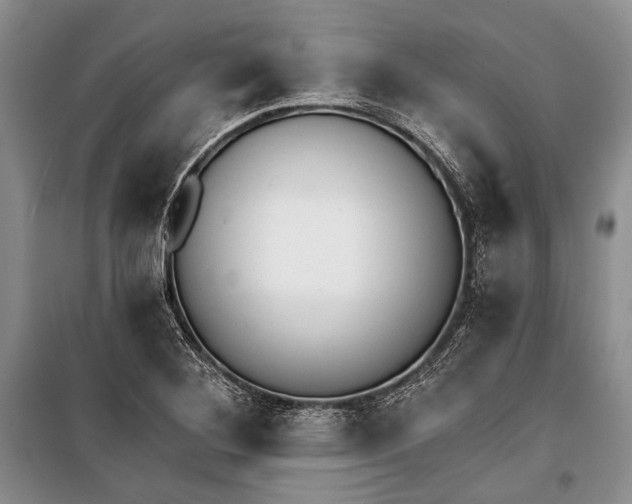 X0000100201268200806131221