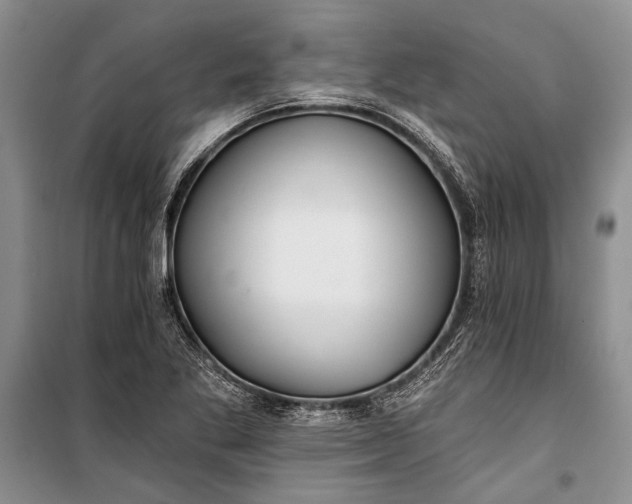 X0000100201269200806131221