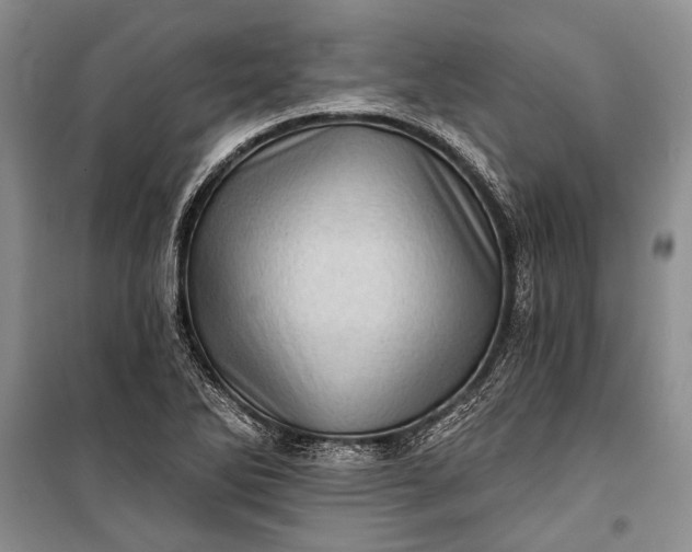 X0000100201270200806131221