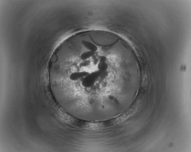 X0000100201271200806131221