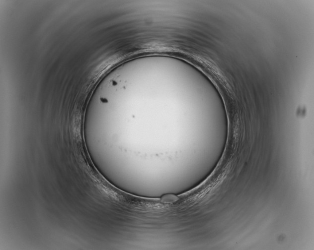 X0000100201273200806131221