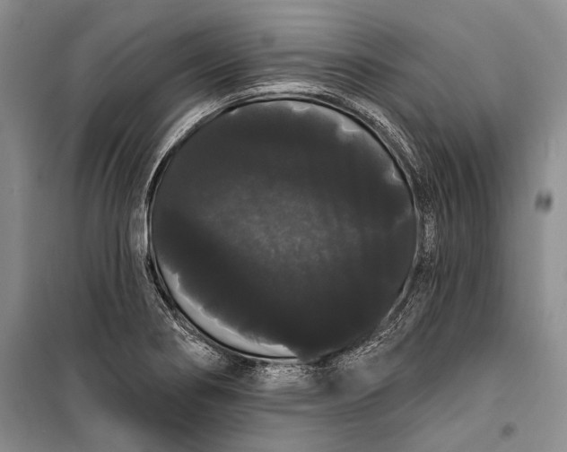 X0000100201274200806131221